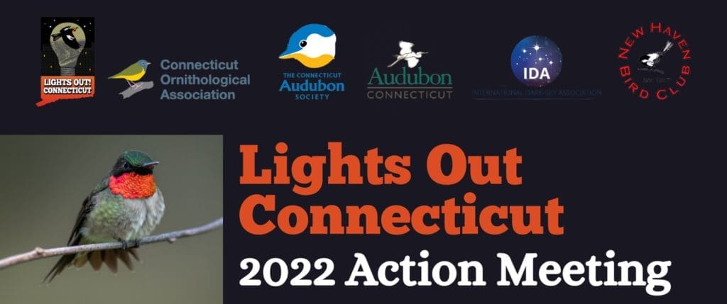 Lights Out CT Action Meeting