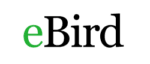 eBird