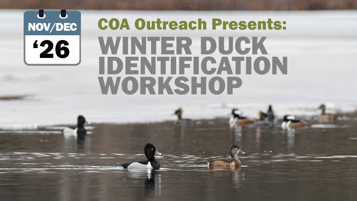 WinterDucks_Workshops_EventImage