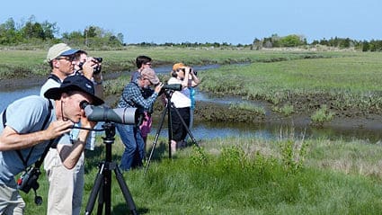The Audubon Shop Birding Trips